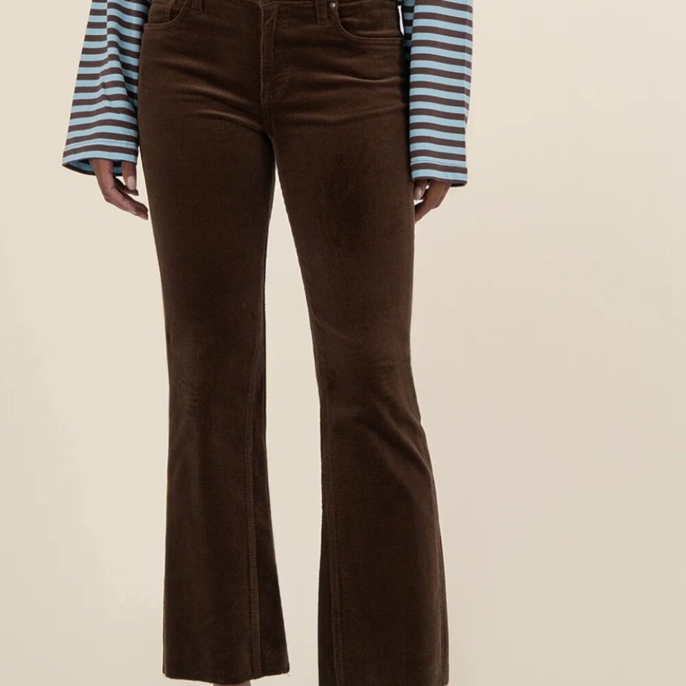 Brown Corduroy Pants